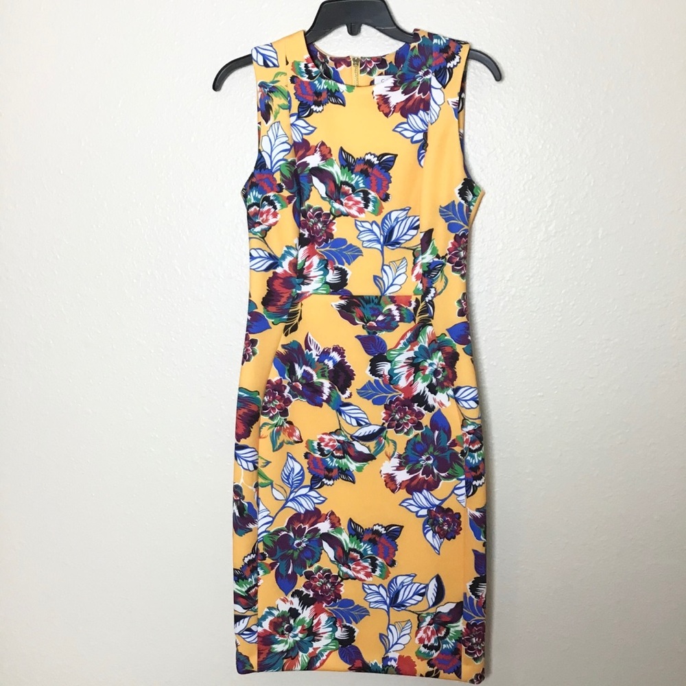 Beautiful Calvin Klein Dress